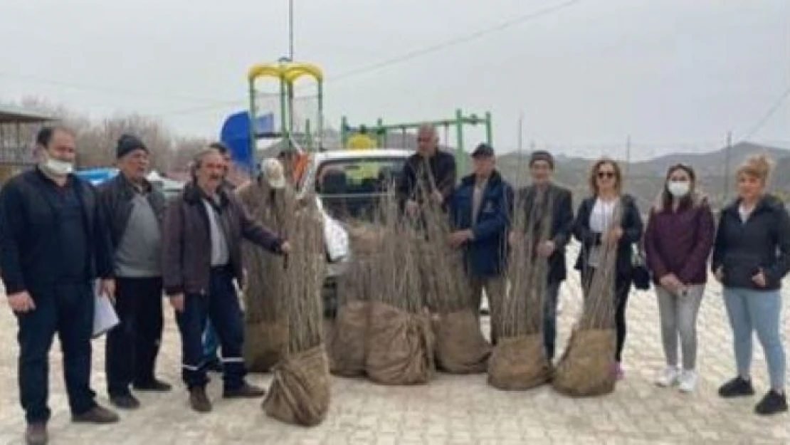 Tunceli'de 14 çiftçiye bedelsiz dut fidanı dağıtıldı