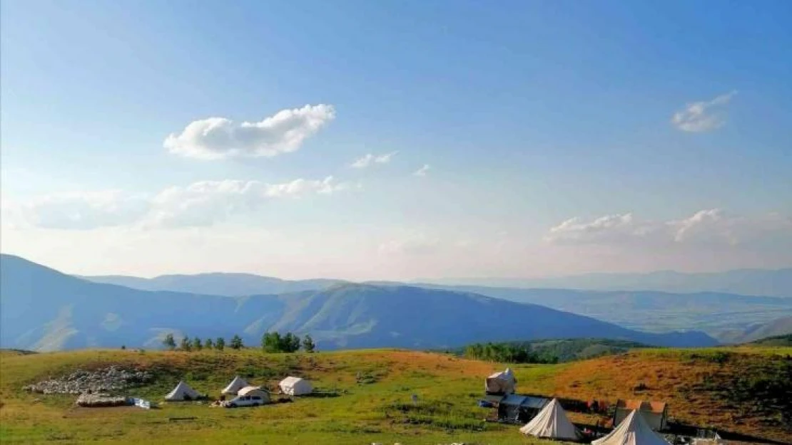 Tunceli'de 3 bin 500 rakımda koyun kırkma mesaisi