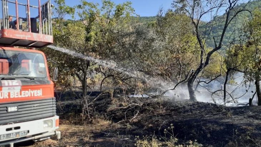 Tunceli'de örtü yangını söndürüldü