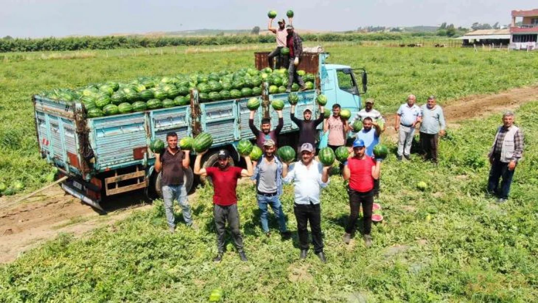 Turfanda karpuzun fiyatı değişmedi