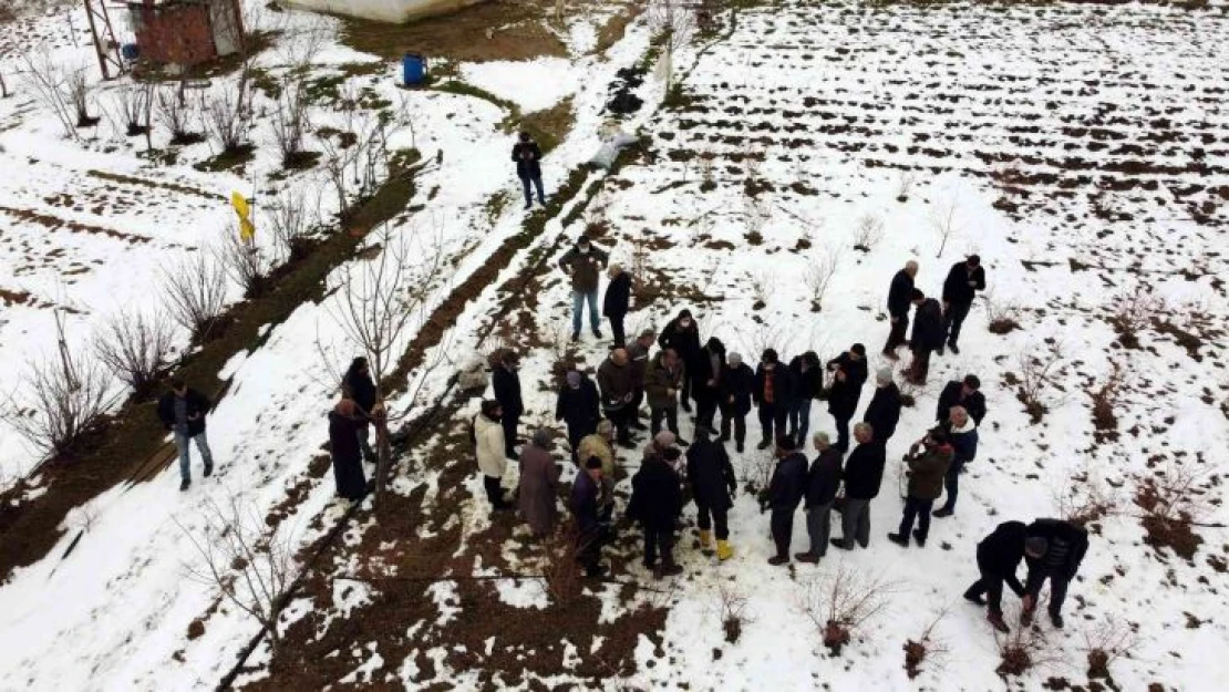 Türkiye'deki yaban mersininin üçte biri Bursa'da üretiliyor