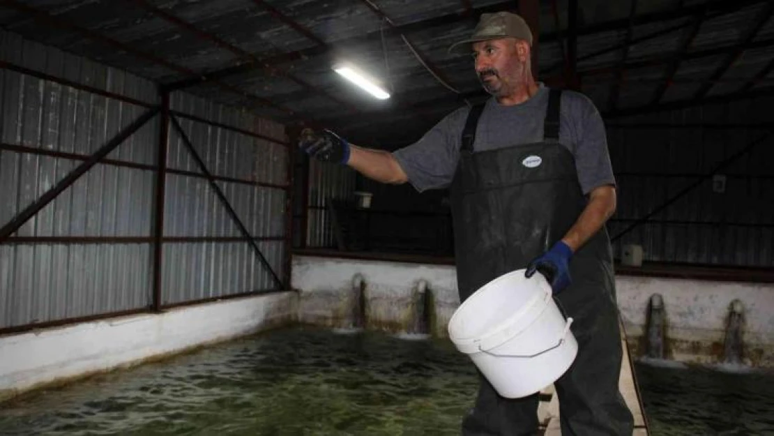 Türkiye'nin balık ihtiyacının yüzde 10' nu Bozkırın ortasında karşılanıyor