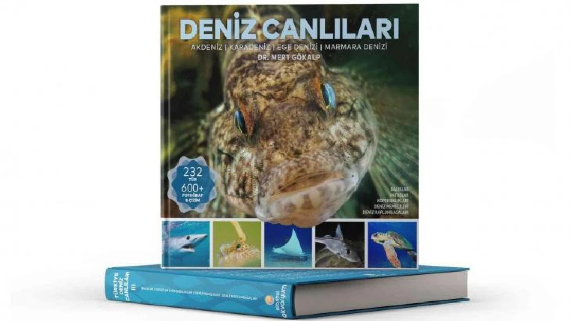 Türkiye'nin en geniş 'Deniz Canlıları' kaynağı okuyucuyla buluştu