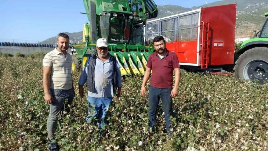 Türkiye'nin pamuk ambarı Söke'de 'beyaz altın' hasadı başladı