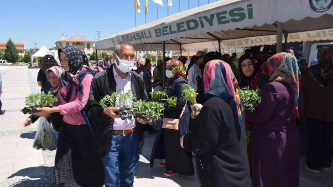 Ücretsiz olduğunu duyan koştu, 16 bin adet sebze fidesi dağıtıldı