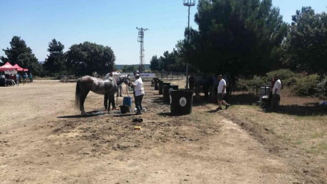 Uluslararası Atlı Dayanıklılık yarışmaları Çanakkale'de düzenleniyor