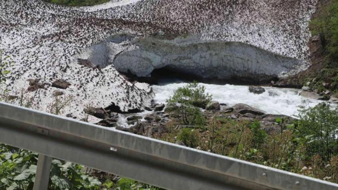 Ummanlı turistin arama çalışmaları 3. gününde devam ediyor