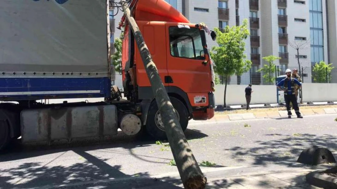 Ümraniye'de tır, elektrik direklerini ve bir ağacı devirdi