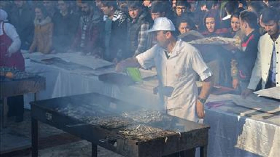 Üniversite öğrencileri 2 saatte 2 ton hamsi tüketti