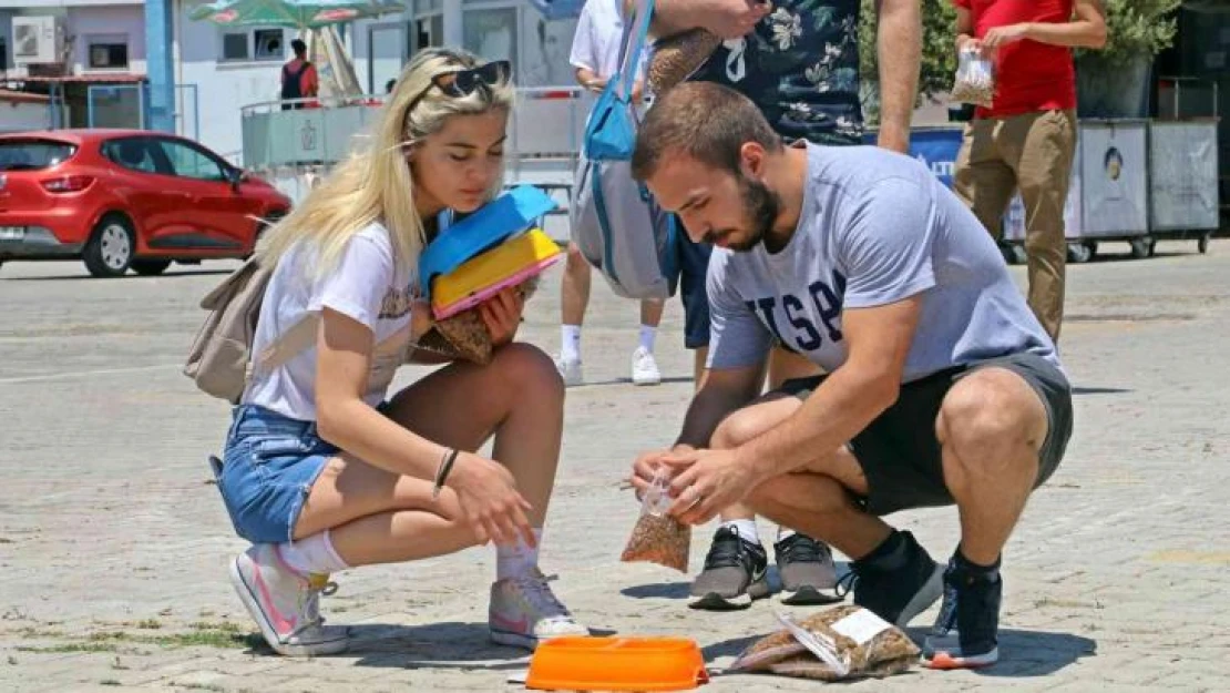 Üniversiteli öğrenciler, yerleşkedeki sokak hayvanlarını unutmadı