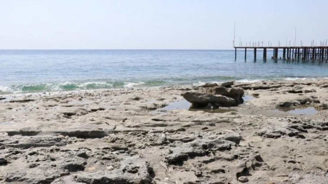 Ünlü profesörden deniz çekilmeleriyle ilgili rahatlatan açıklama