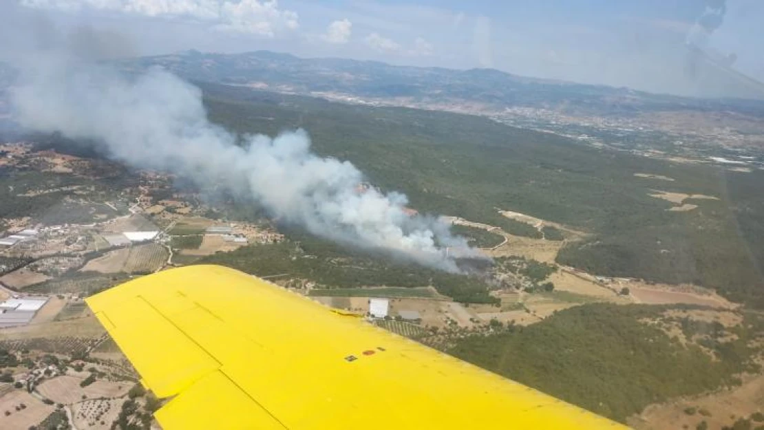 Urla'da ormanlık alan yangını