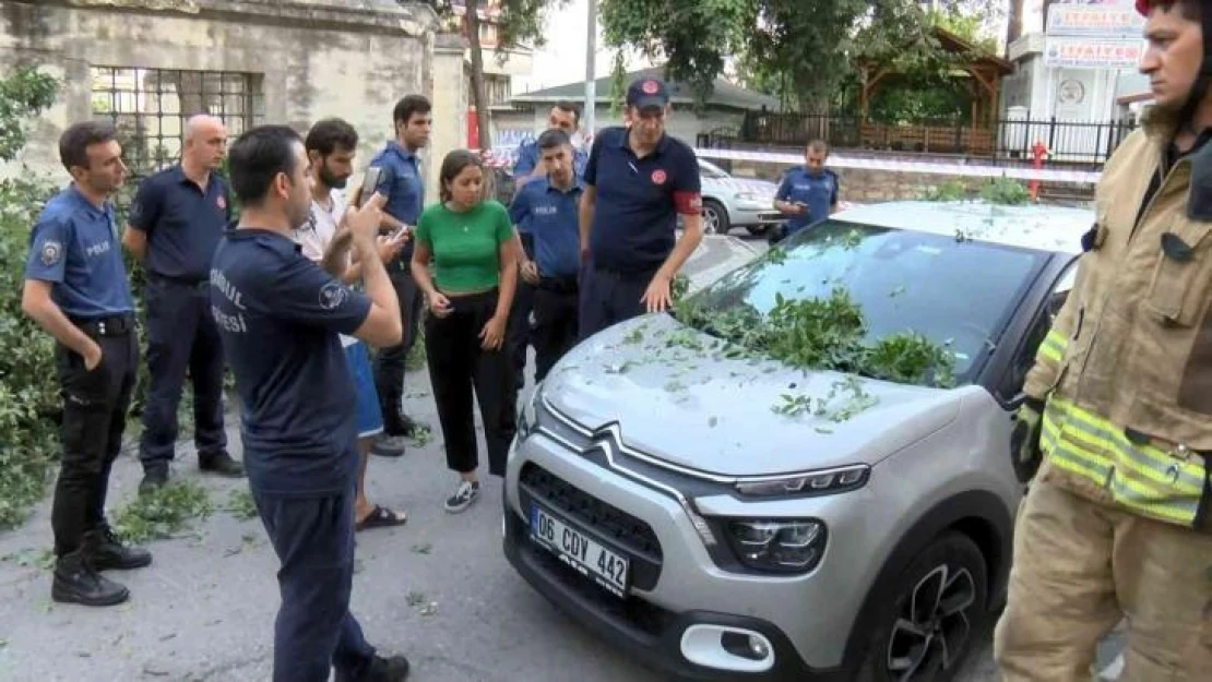 Üsküdar'da asırlık ağaç otomobilin üzerine devrildi