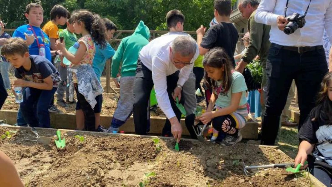 Üsküdar'da fideler toprakla buluştu, ortaya renkli görüntüler çıktı