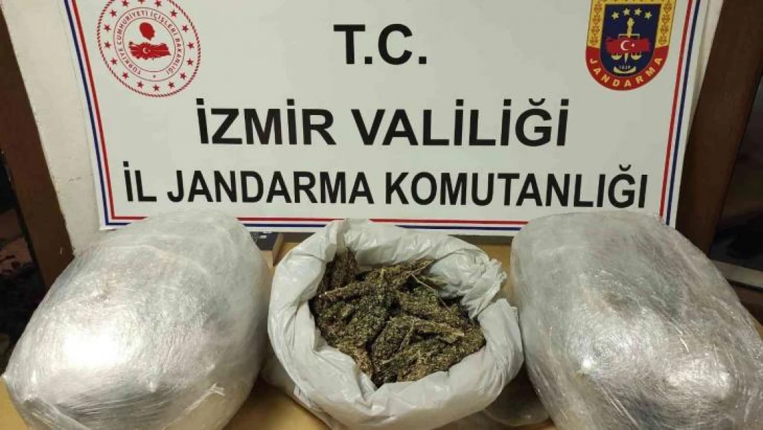 Uyuşturucu tacirinin evinden 13 kilo skunk ele geçirildi