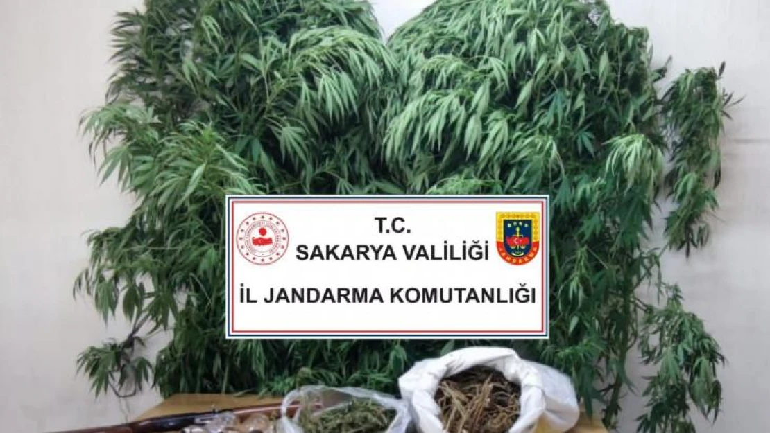 Uyuşturucu tacirlerine jandarma engeli: 5 gözaltı