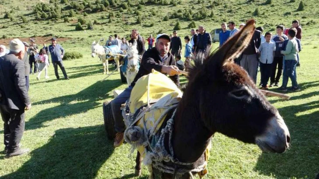 Van'da 'Eşek Arabası' yarışması