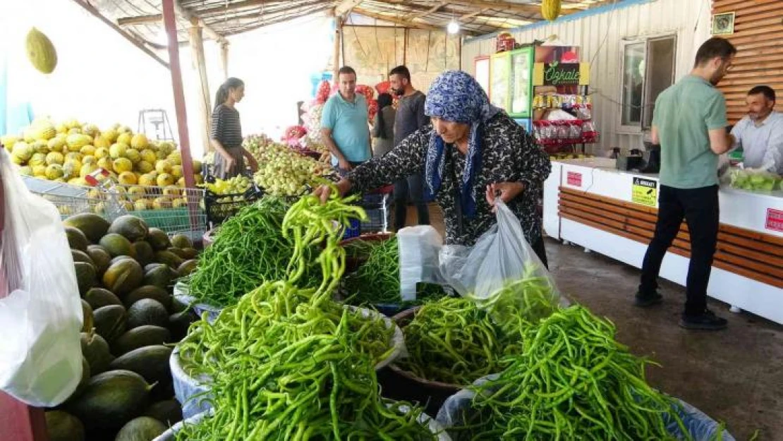 Van'da meyve ve sebze hasadı üreticinin yüzünü güldürdü