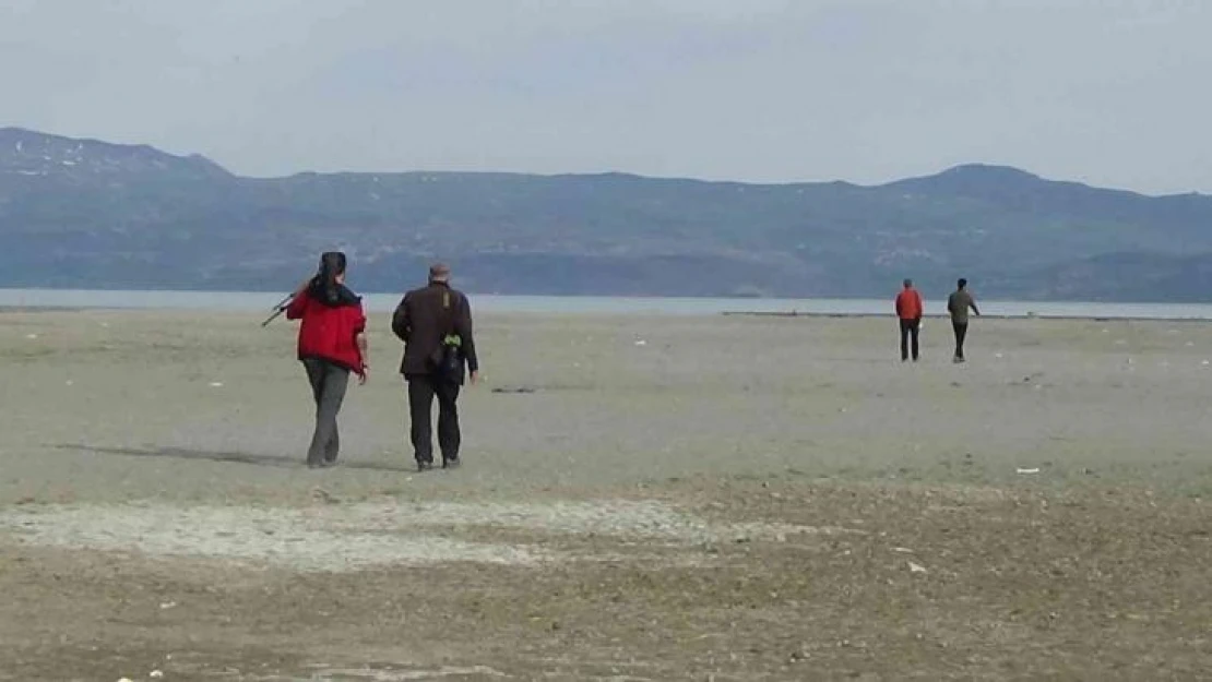 Van'da nesli tehlike altında olan kuş sayımı başladı