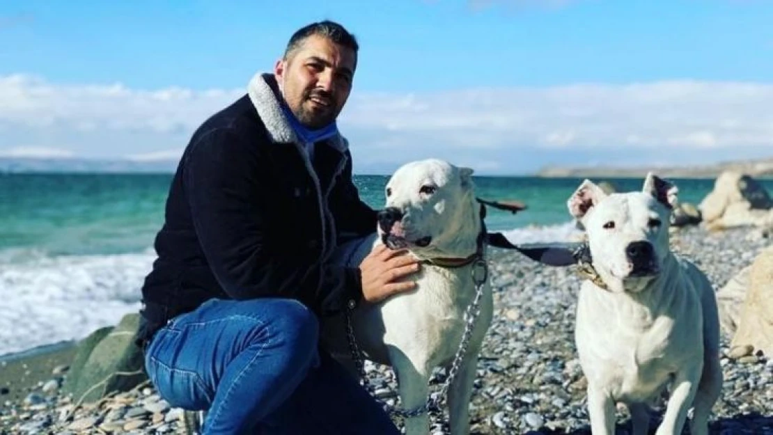 Van'da spor salonu bahçesinden çalınan Dogo Argentino ırkı iki köpek saatler sonra ölü bulundu