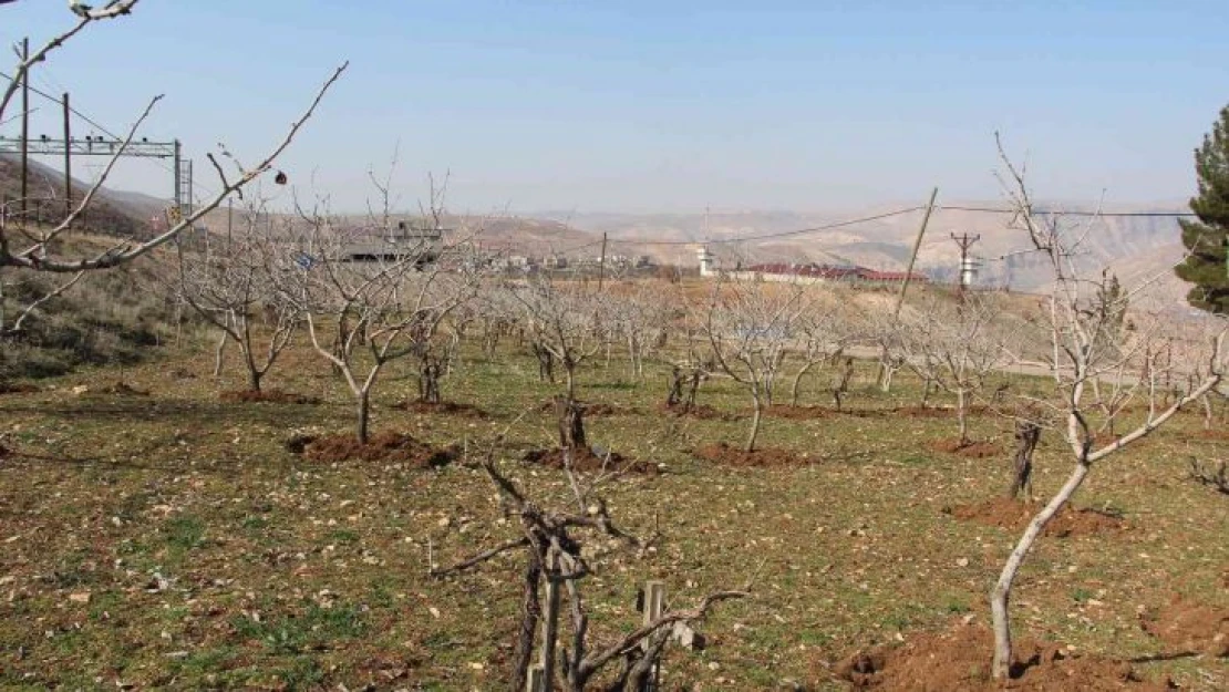 Yağışlar çiftçinin yüzünü güldürdü, rekoltede artış bekleniyor