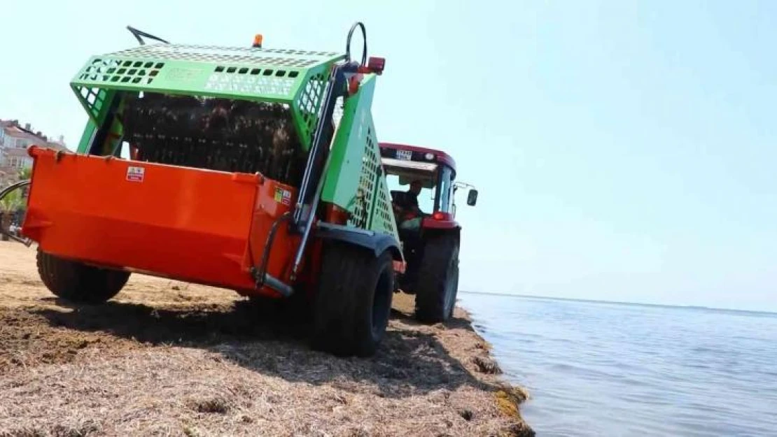 Yalova Çiftlikköy'de yosunlar gübreye dönüşüyor