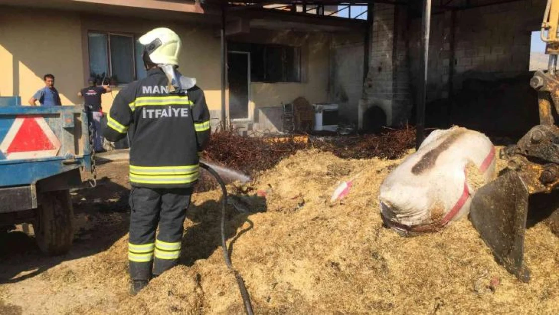 Yanan ahırda inek ve koyunlar telef oldu