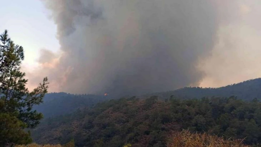 Yangın yönünü Okluk Koyu'na çevirdi