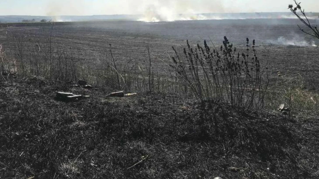 Yangında 30 dekar alan kül oldu