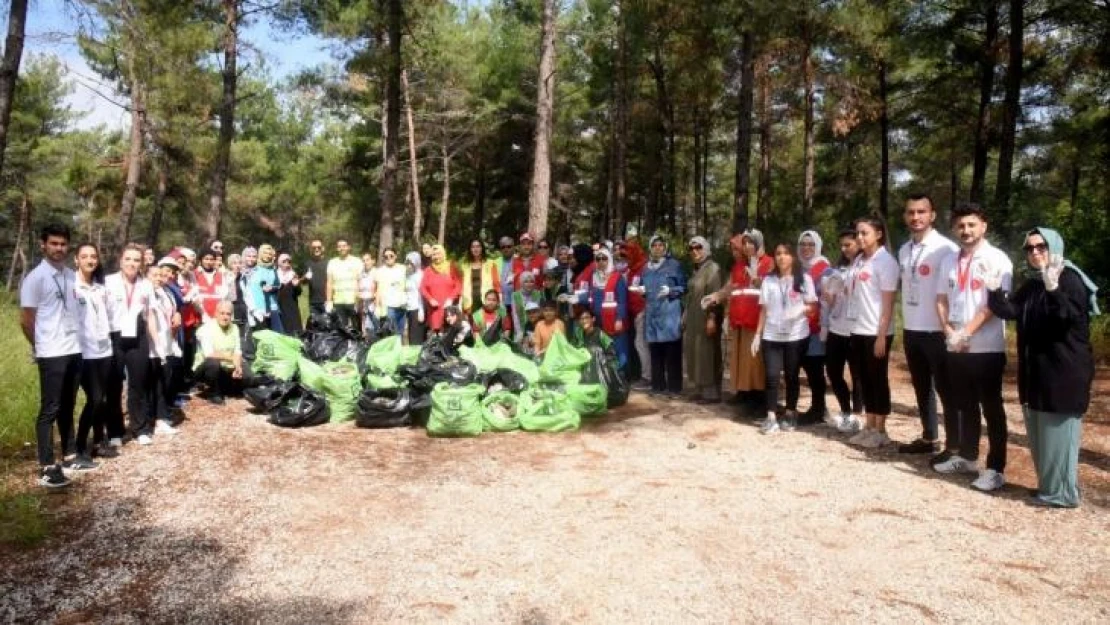 Yangınlara sebep olan cam şişeler ormanlık alandan toplandı