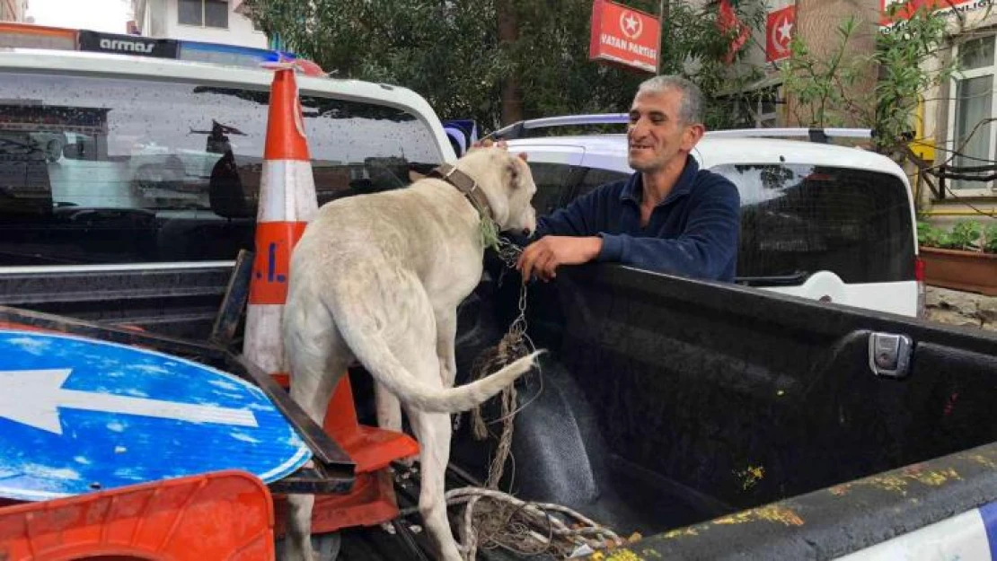 Yasaklı ırk köpeği direğe bağlayıp kaçtılar