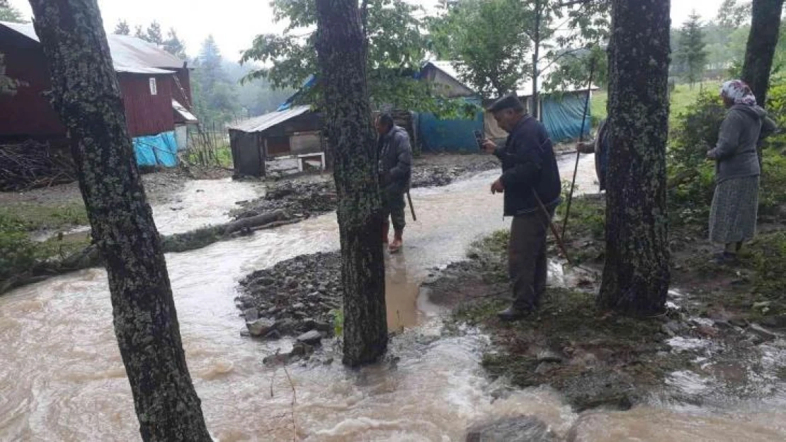 Yayla yolundaki heyelan nedeniyle 20 kişi yardım istedi