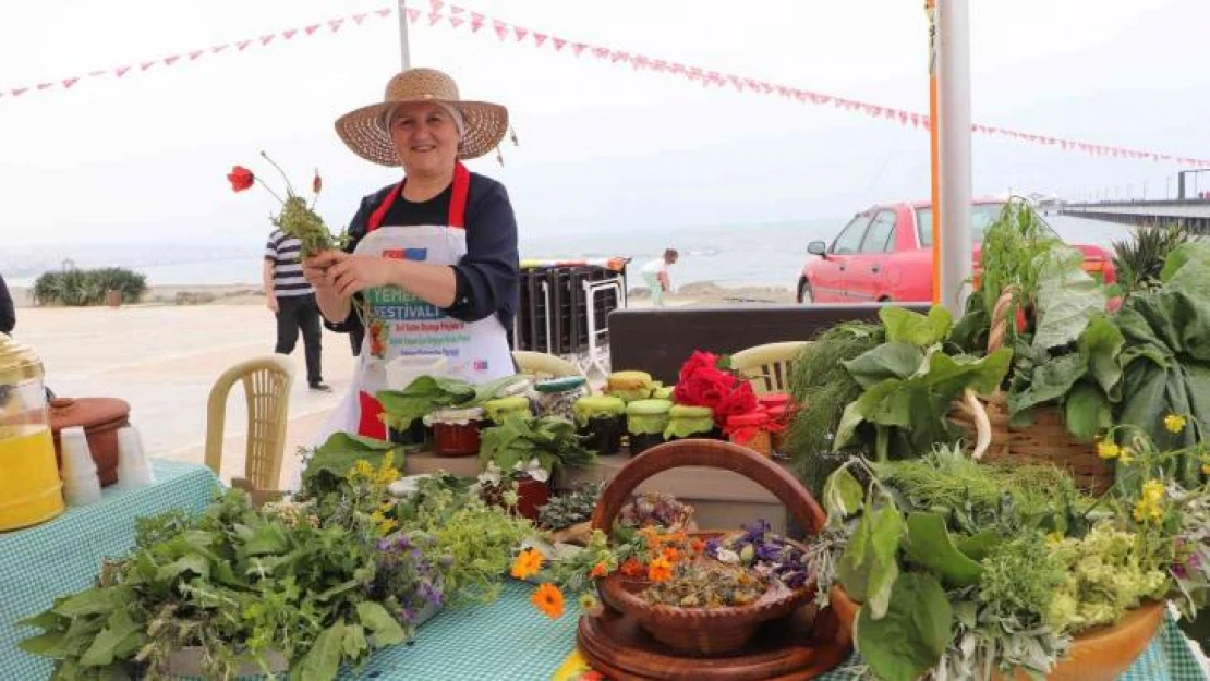 Yöresel Ot Yemekleri Festivali: 1878 çeşit ot tanıtıldı