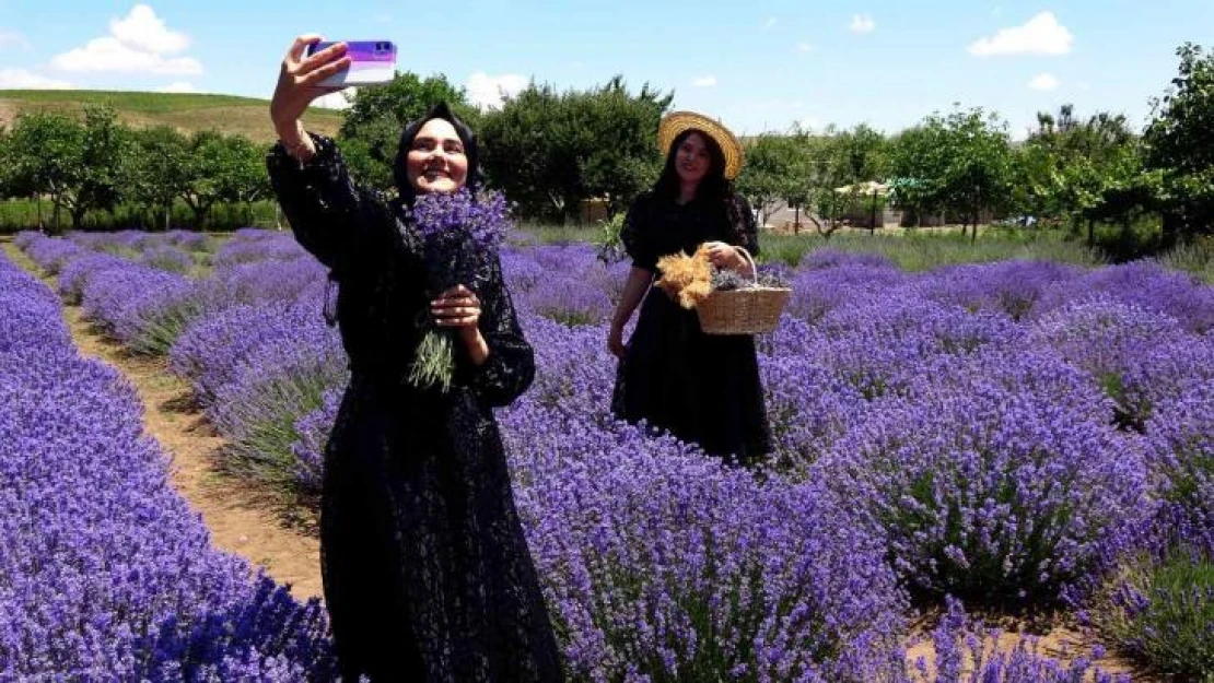 Yozgat'ta lavanta bahçesi doğal stüdyo alanına döndü