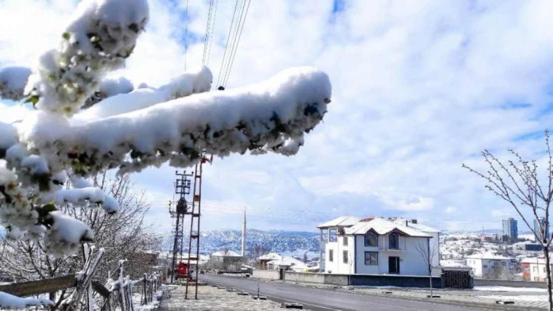 Yozgat'ta Nisan karı çiçek açan dalları karla kapladı