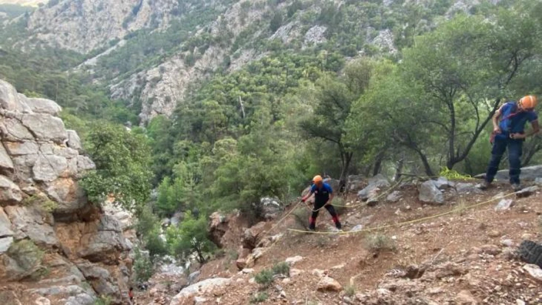 Yürüyüşe çıktıkları ormanlık alanda yönlerini kaybedip dağlık alanda mahsur kaldılar