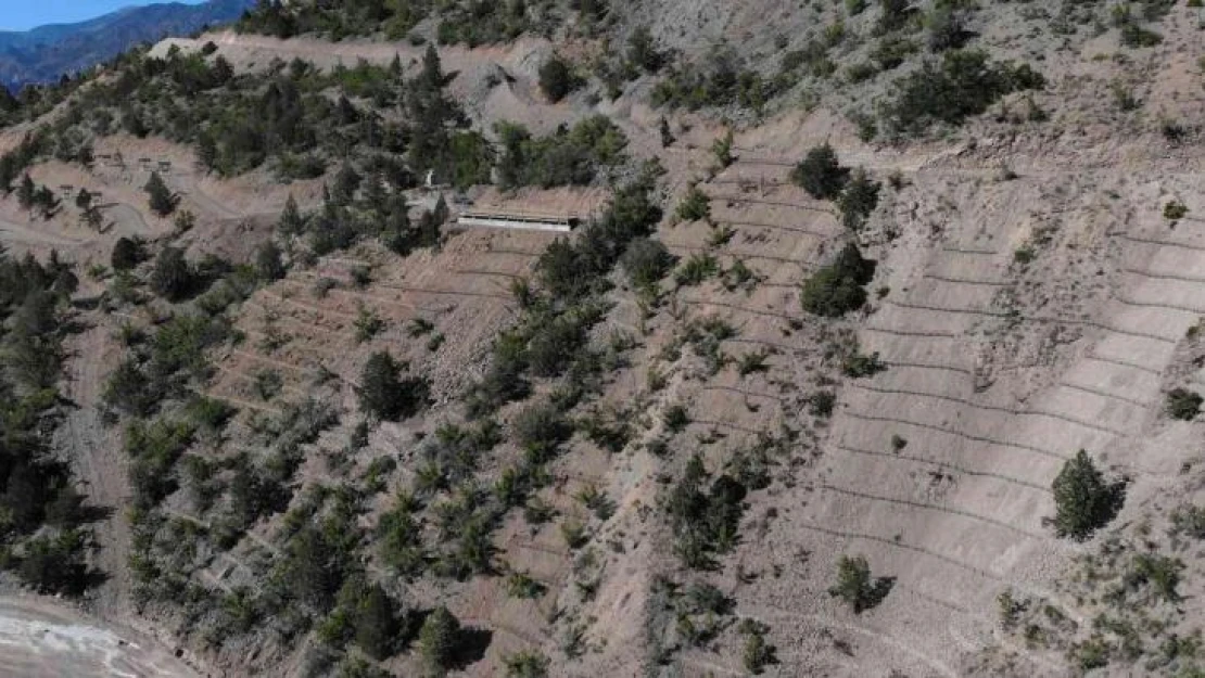 Yusufeli yeni yerleşim yerinde 8 hektarlık alanda erozyon çalışması tamamlandı