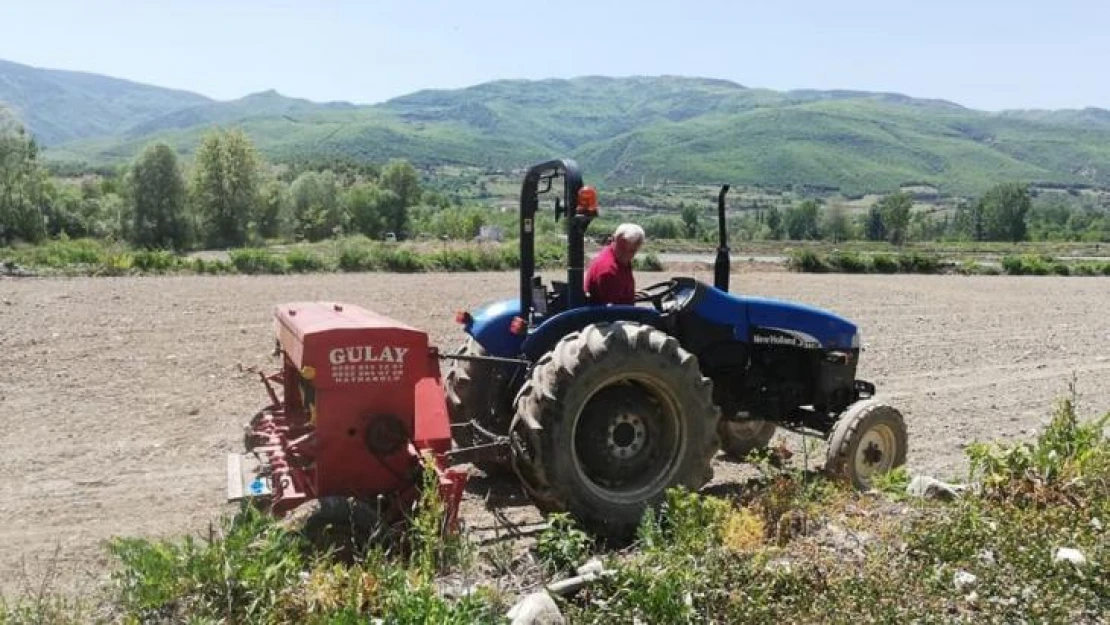 Yüzde 80 su tasarruflu çeltik ekimi yapıldı