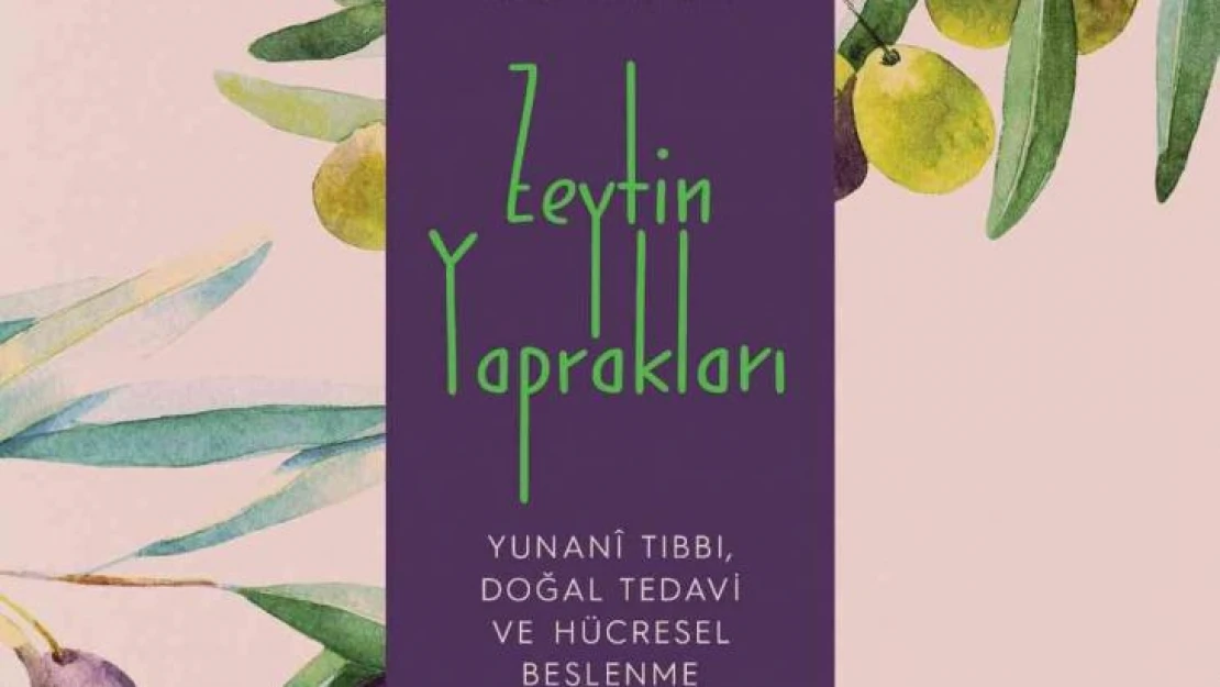 Yüzyıllardır bedene ve ruha şifa olan zeytinin hikâyesi : Zeytin Yaprakları