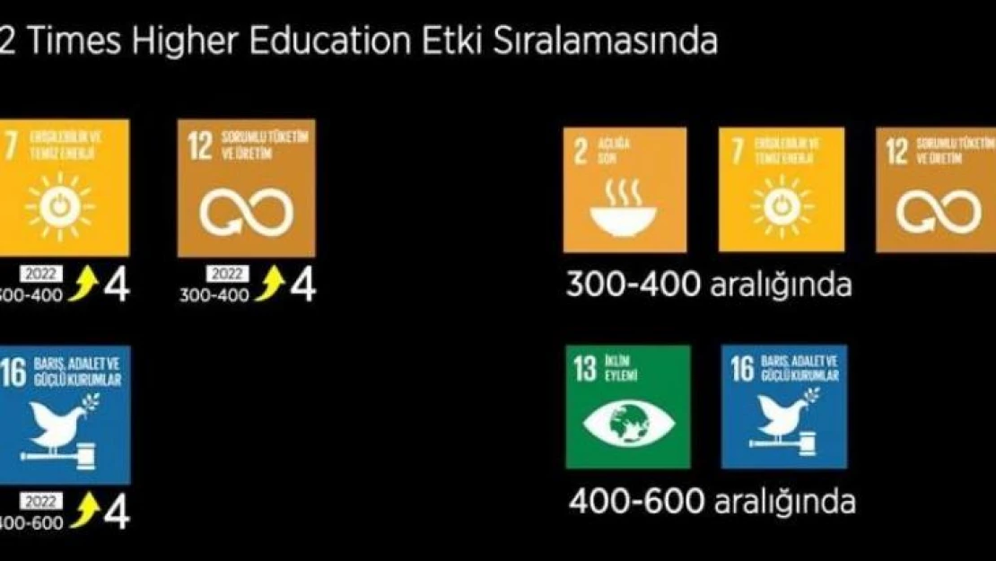 ZBEÜ, Times Higher Education 2022 Etki Sıralamasında ilk 5'te