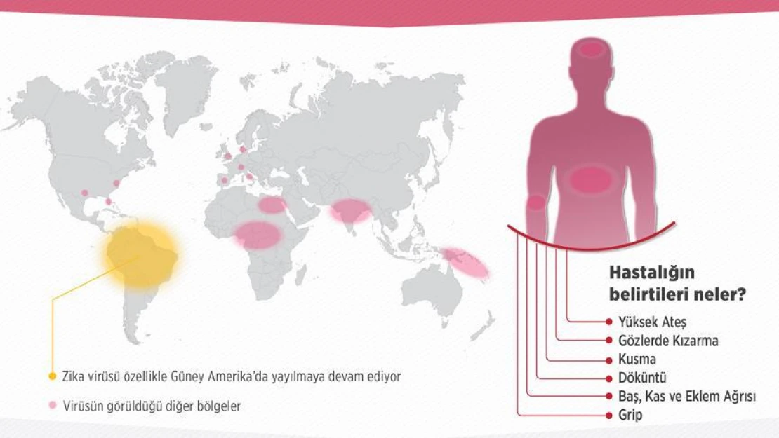 Zika virüsü dünyayı alarma geçirdi