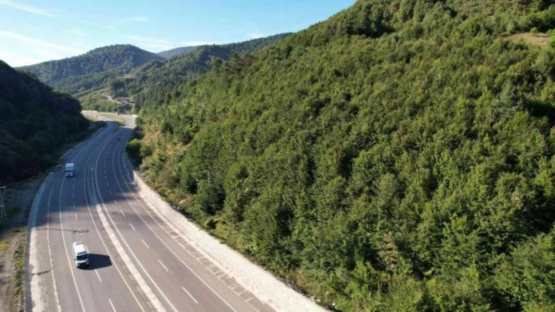 Zonguldak ormanlarında sonbaharda tabloluk görüntüler