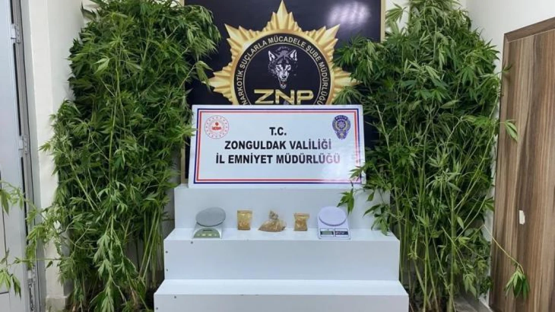 Zonguldak'ta son 3 ayda 30 zehir taciri tutuklandı