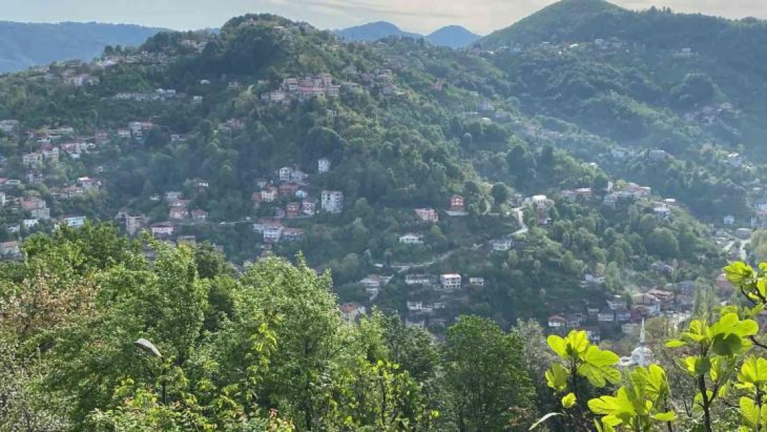 Zonguldak'ta tedirgin eden gelenek, bayram sabahı silahlar konuştu