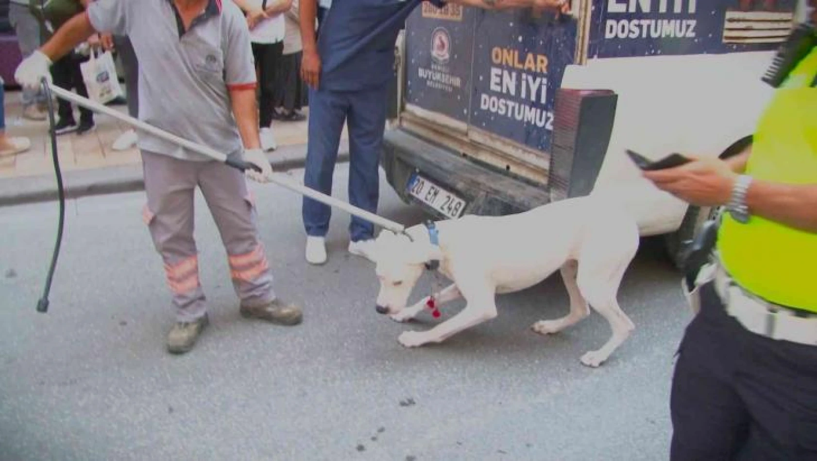 Alkollü sürücünün köpeği polisi ısırdı
