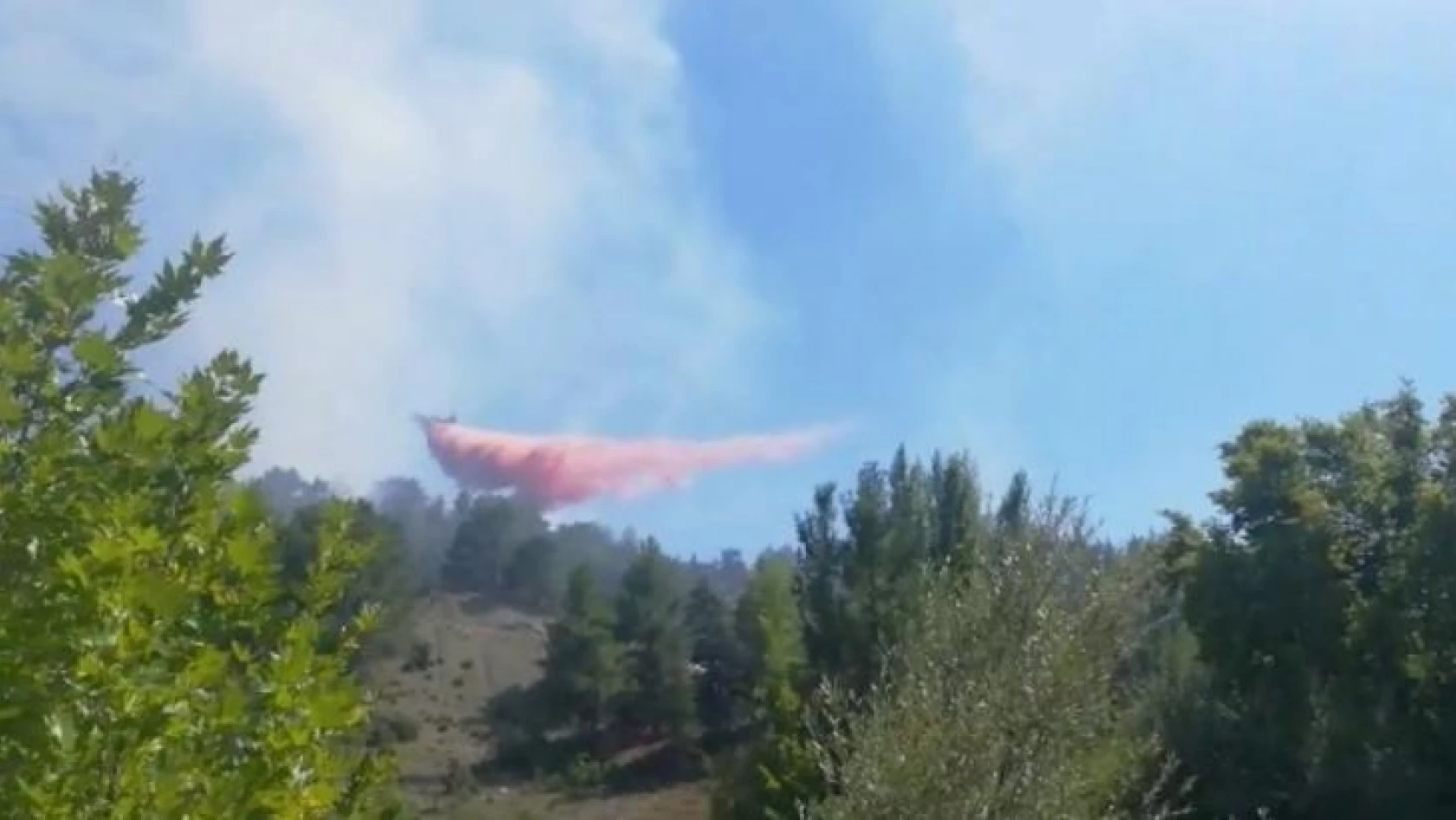 Antalya'da çıkan orman yangını kısmen kontrol altına alındı