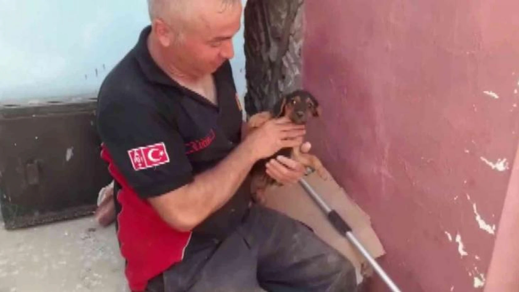 Duvar kırıldı, evlerin arasına sıkışan köpek 3 saatlik çalışma ile kurtarıldı