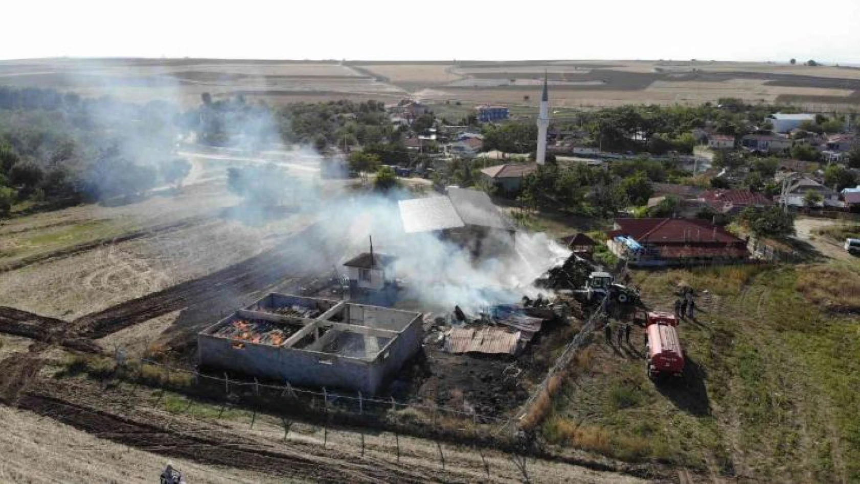 Edirne'de çiftlikte yangın: Can pazarı yaşandı, hayvanlar telef oldu