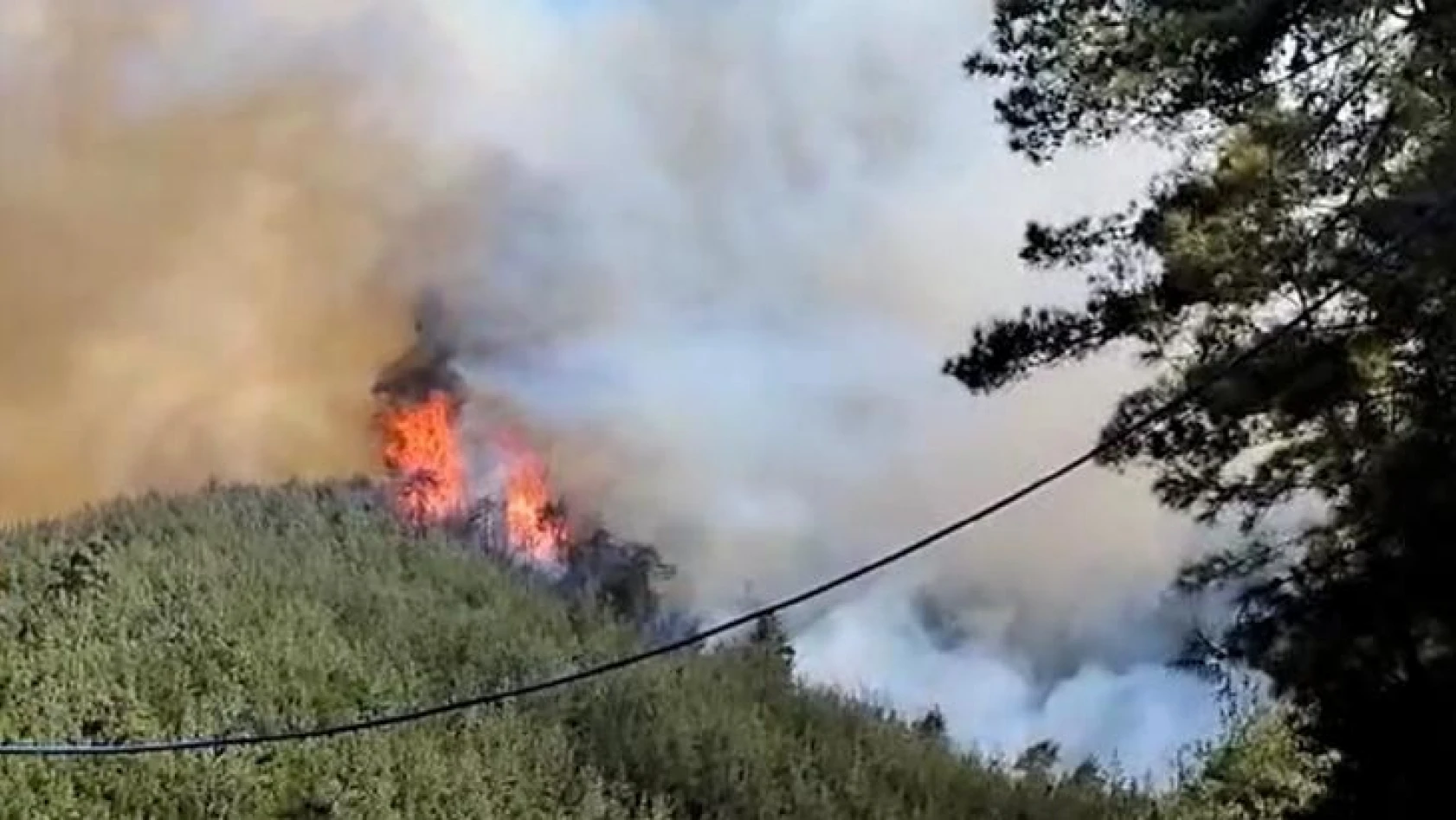 Kahramanmaraş'taki yangında 35 hektar ormanlık alan zarar gördü