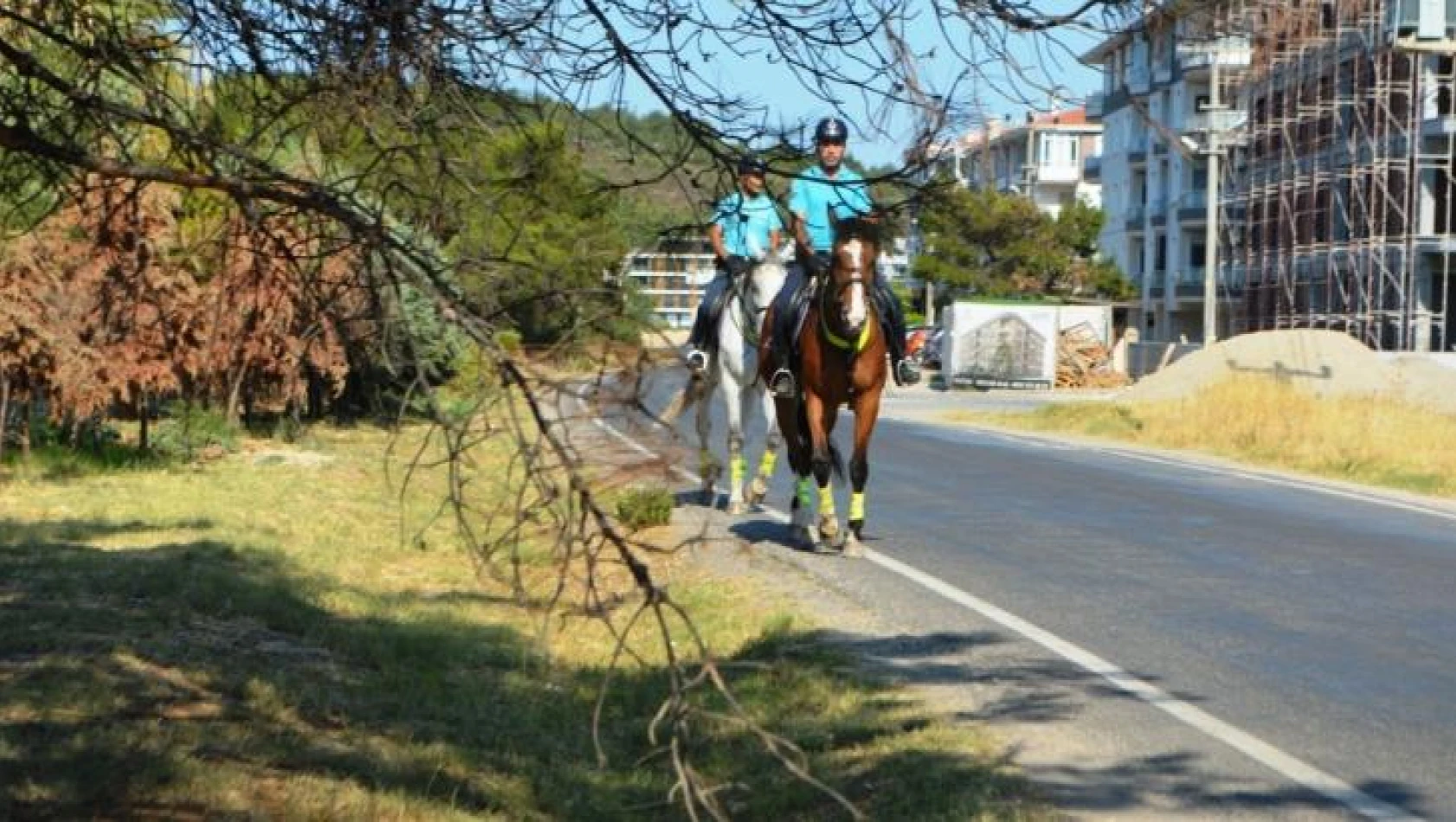 Ayvalık'ta orman yangınlarına karşı atlı jandarma önlemi